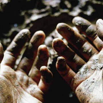WHAT TO MAKE OF THESE MORTAL HANDS | VINYL RECORD (LP)