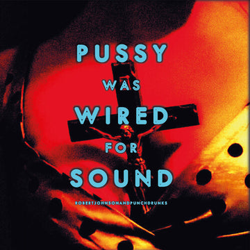 PUSSY WAS WIRED FOR SOUND (ORANGE VINYL/LIMITED) | VINYL RECORD (LP)