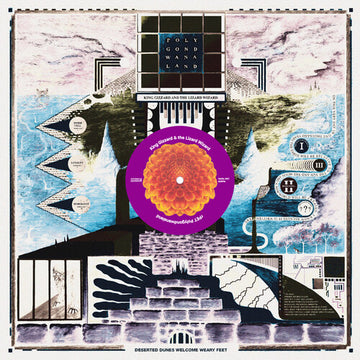 POLYGONDWANALAND | VINYL RECORD (LP)