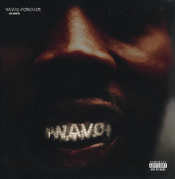 WAVO FOREVER | VINYL RECORD (LP)