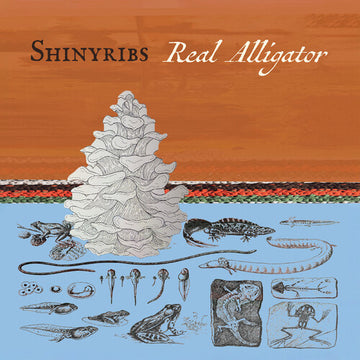 REAL ALLIGATOR (180G) | VINYL RECORD (LP)