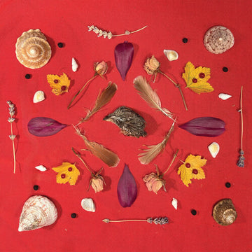 GROUSE HEAD TALISMAN | VINYL RECORD (LP)