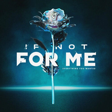EVERYTHING YOU WANTED (METALLIC SILVER MARBLE) | VINYL RECORD (LP)