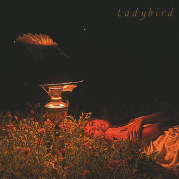 LADYBIRD EP | VINYL RECORD (LP)