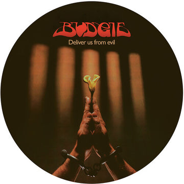 DELIVER US FROM EVIL (LIMITED EDITION) (PICTURE DISC) | VINYL RECORD (LP)