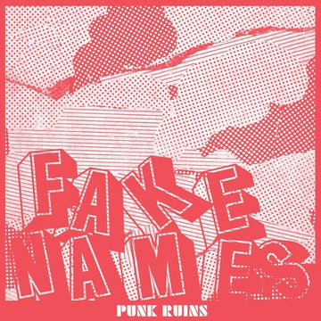 PUNK RUINS (CLEAR VINYL) | VINYL RECORD (LP)