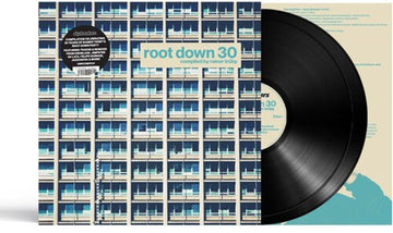 ROOT DOWN 30 (COMPILED BY RAINER TRUBY/2LP) | VINYL RECORD (LP)