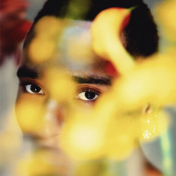 BLOOM (2LP) | VINYL RECORD (LP)
