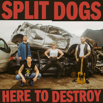 HERE TO DESTROY | VINYL RECORD (LP)