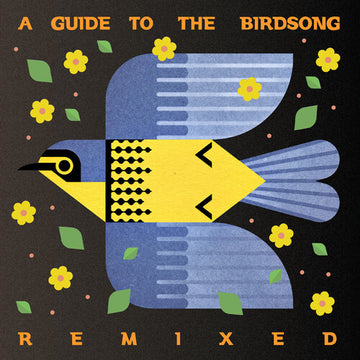 GUIDE TO THE BIRDSONG REMIXED (2LP/180G) | VINYL RECORD (LP)