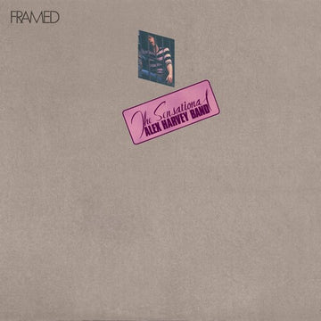 FRAMED | VINYL RECORD (LP)