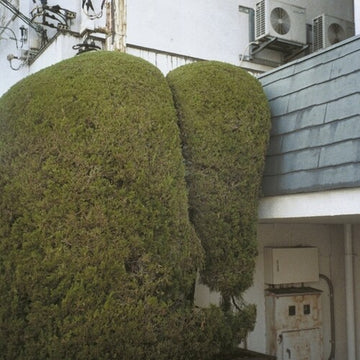 ERRANDS | VINYL RECORD (LP)