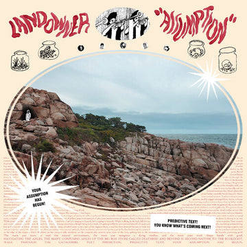 ASSUMPTION (ELECTRIC SMOKE VINYL) | VINYL RECORD (LP)