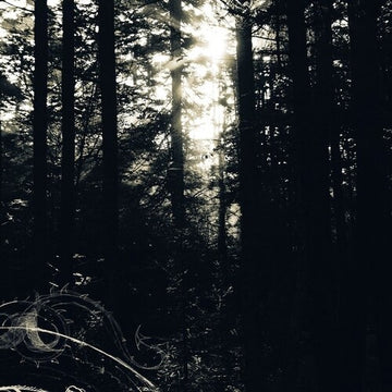 I STILL LOOK FOR THE MOUNTAINS | VINYL RECORD (LP)