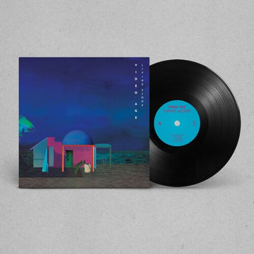BREAKING & ENTERING | VINYL RECORD (LP)