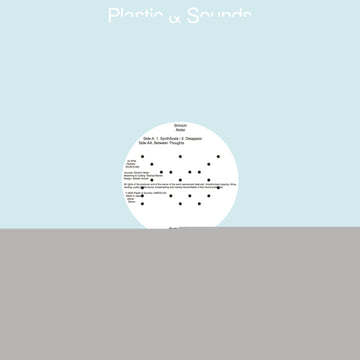 A.WHISPERS INTO THE VOID : AA.FLEETING_637 | 12IN VINYL
