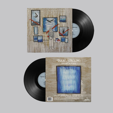 FALLING IN PLACE | VINYL RECORD (LP)