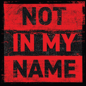 NOT IN MY NAME (2LP) | VINYL RECORD (LP)