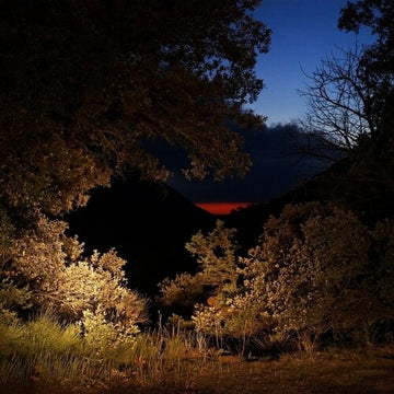 SHAPE OF THE UNKNOWN (2LP) | VINYL RECORD (LP)