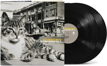 MERMAID AVENUE VOL. II (180G/2LP) | VINYL RECORD (LP)