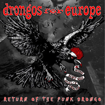 RETURN OF THE PUNK DRONGO | VINYL RECORD (LP)