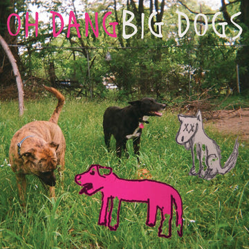 BIG DOGS (BIG DOG SMOKE COLOR VINYL/180G) | VINYL RECORD (LP)