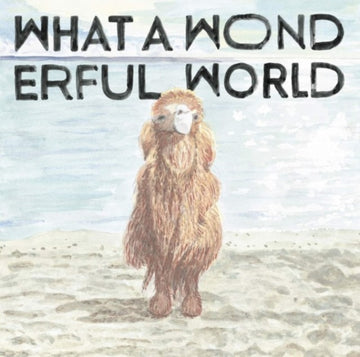 WHAT A WONDERFUL WORLD (LIMITED) | VINYL RECORD (LP)
