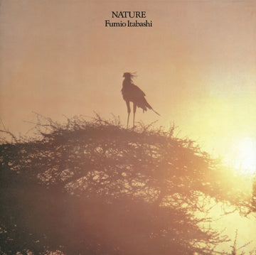 NATURE | VINYL RECORD (LP)