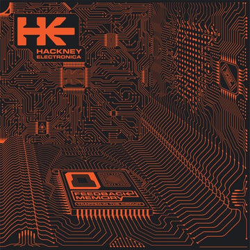 FEEDBACK MEMORY | 12IN VINYL