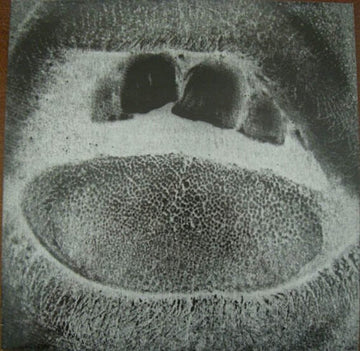 FORM DESTROYER (2LP) | VINYL RECORD (LP)