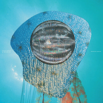 PRISMATIC FIELDS | VINYL RECORD (LP)