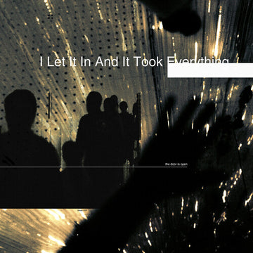 I LET IT IN & IT TOOK EVERYTHING (2LP/BLACK SMOKE VINYL) | VINYL RECORD (LP)