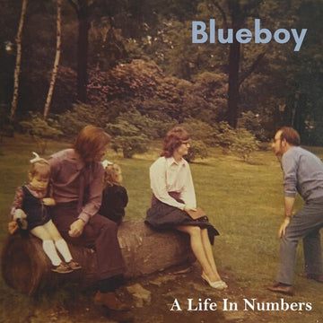 LIFE IN NUMBERS (2LP) | VINYL RECORD (LP)