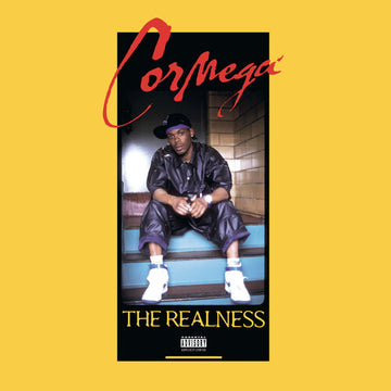REALNESS (2LP) | VINYL RECORD (LP)