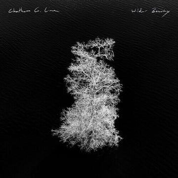 WILDER BEAUTY | VINYL RECORD (LP)