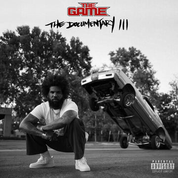 DOCUMENTARY III (X) (2LP) | VINYL RECORD (LP)