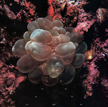 TULEI | VINYL RECORD (LP)