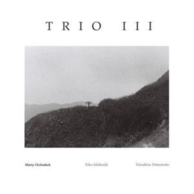 HOLOUBEK, MARTY | TRIO III (JAPANESE IMPORT/LIMITED) | VINYL RECORD (LP)