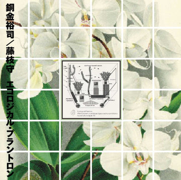 ECOLOGICAL PLANTRON | VINYL RECORD (LP)