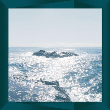 STEALTH | VINYL RECORD (LP)