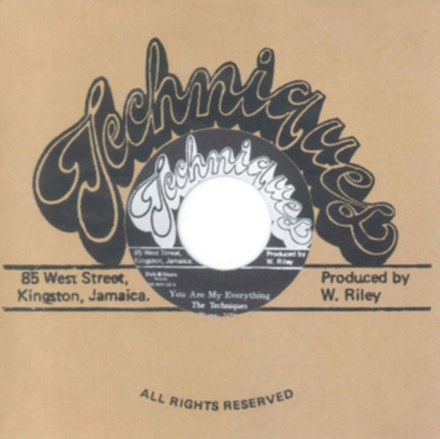 TECHNIQUES | YOU ARE MY EVERYTHING | VINYL RECORD (LP)