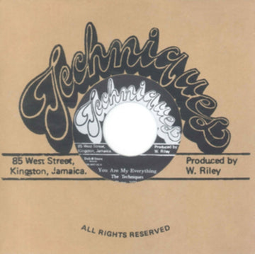 TECHNIQUES | YOU ARE MY EVERYTHING | VINYL RECORD (LP)