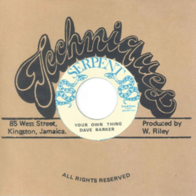 VARIOUS ARTISTS | YOUR OWN THING | VINYL RECORD (LP)