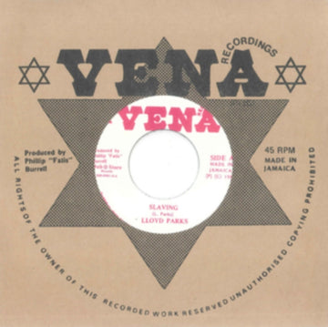 SLAVING/DUB | VINYL RECORD (LP)