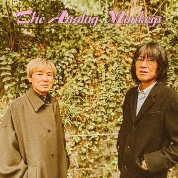 BLOWIN UP!!/YUME NO OWARI | 7IN VINYL