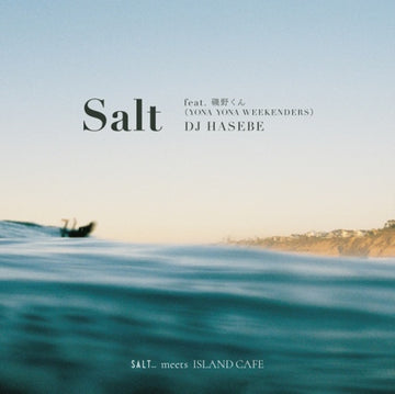 SALT FEAT. ISONO-KUN (YONA YONA WEEKENDERS) | 7IN VINYL
