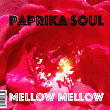 MELLOW MELLOW/TOO MUCH LOVE MAKIN | 7IN VINYL