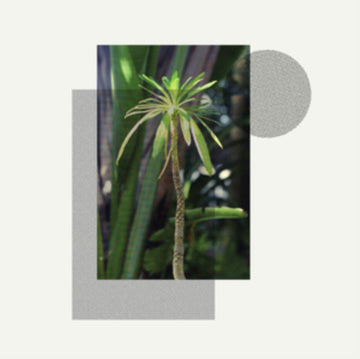 PRIMITIVES | VINYL RECORD (LP)