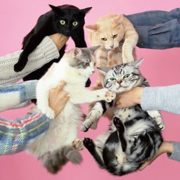 NEKO TO ALLERGY (2LP) | VINYL RECORD (LP)