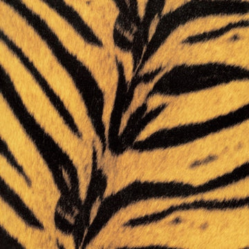 TIGERMOBILE | VINYL RECORD (LP)